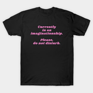 Currently In An Imaginationship Please Do Not Disturb T-Shirt